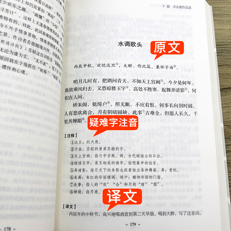 [正版] 苏东坡集 中国国学文人名人传记名人传苏轼苏东坡词传古代人物传记诗词人生书籍高清大图