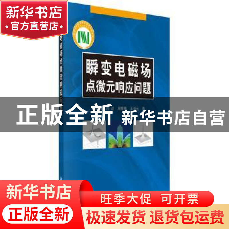 正版 瞬变电磁场点微元响应问题 薛国强【等】著 科学出版社 978703
