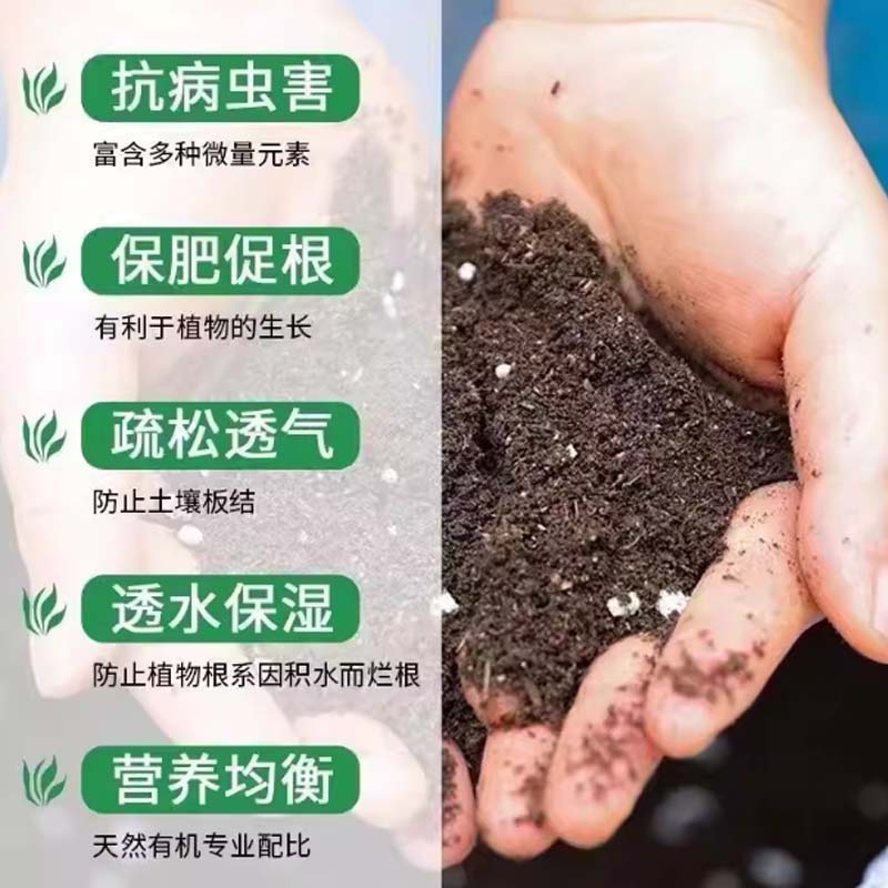 营养土 PH5.5-6.5,无菌