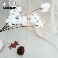 棉花 1束10根 干树枝 天然白桦树分枝手工干枝插干树枝装饰干花花束造型小花瓶客厅摆件