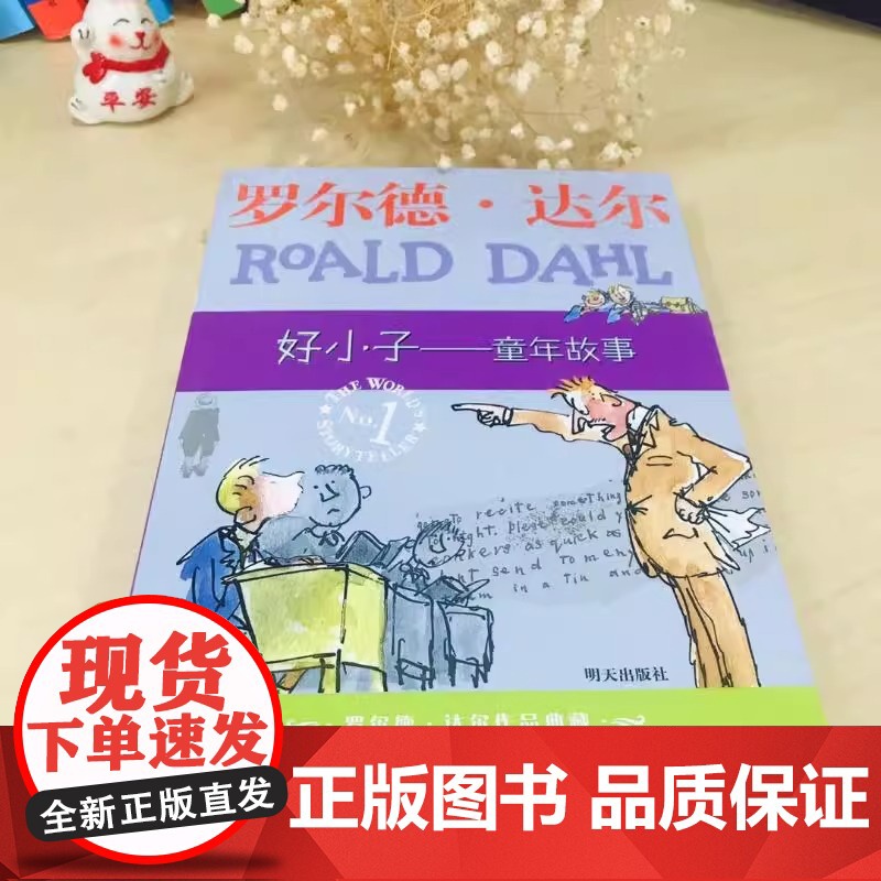 好小子童年故事 罗尔德达尔作品典藏7-9-12-15岁小学生三四五年级老师故事书课外阅读外国儿童经典文学新华正版罗尔德达高清大图