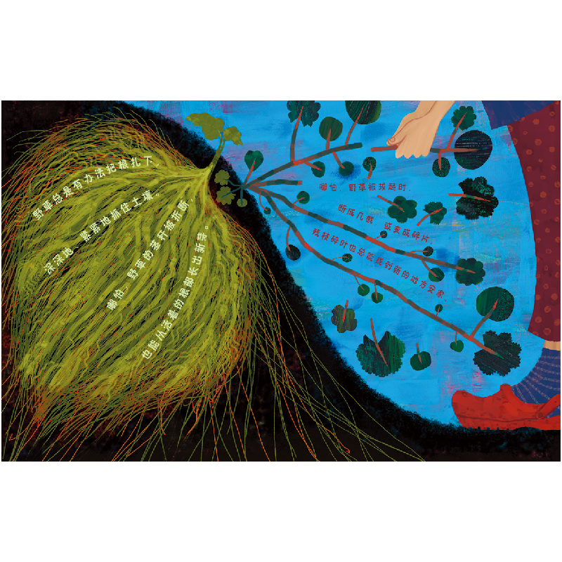 正版新书]野草总是有办法(美)辛迪·詹森-艾略特9787559662286高清大图