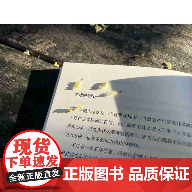 抑郁的力量 心理健康 精神 心理自助指南 抑郁症治疗 抗抑郁策略 北京科学技术高清大图
