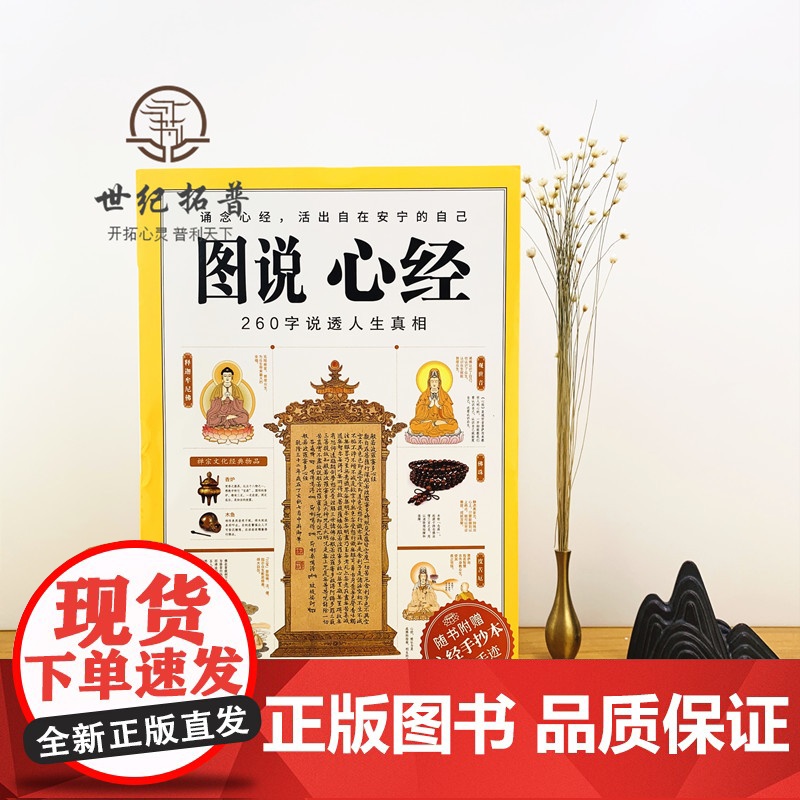 正版 图说心经 说透人生真相 般若波罗蜜多心经大般若经佛法入门书籍图解经典系列佛教金刚经楞严经紫图高清大图