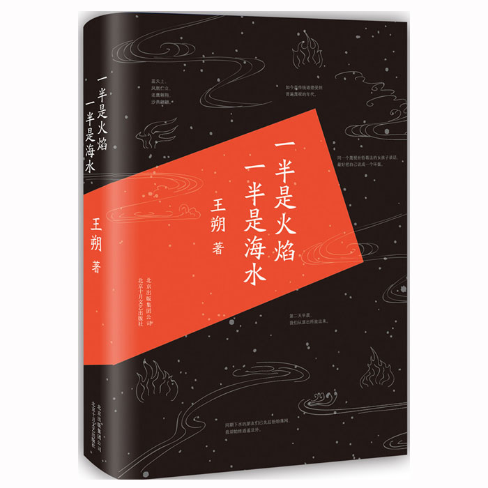 [正版]王朔作品集套装4册 动物凶猛+一半是火焰一半是海水+我是你爸爸+看上去很美 王朔小说集文集自选集全集 文学小高清大图