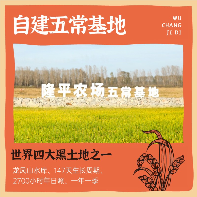 隆平芯米五常大米5kg 当季新米 稻花香2号 东北大米 粳米10斤高清大图