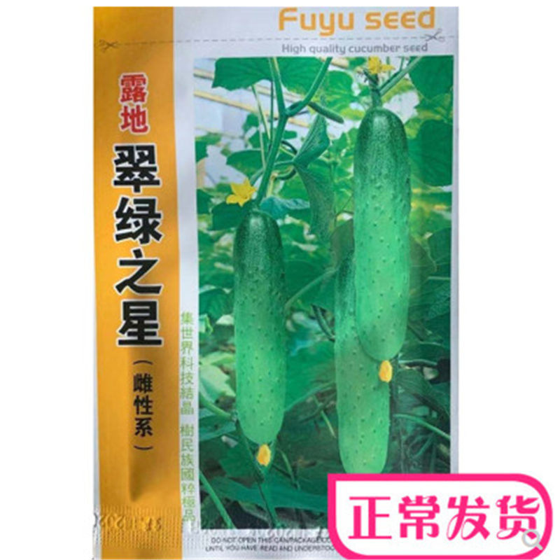 翠绿之星强磁系旱黄瓜种子四季播种大田用高产黄瓜籽蔬菜水果