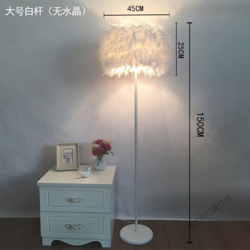 苏宁放心购 落地灯ins风羽毛卧室公主北欧客厅创意立式台灯具灯饰网红床头灯图片
