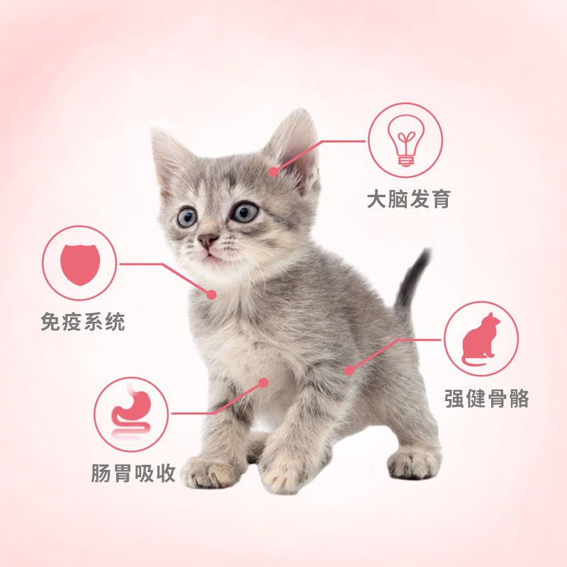 猫粮1.5kg幼猫猫粮深海鱼肉室内英短美短流浪猫1斤3斤|鸡肉冻干双拼3斤