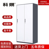 科朔 文件柜两门更衣柜钢柜钢制办公室更衣柜铁皮更衣柜储物柜KS-G001