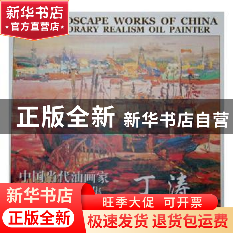 正版 中国当代油画家风景写生画集:丁涛:Ding Tao 丁涛 绘 天津人高清大图