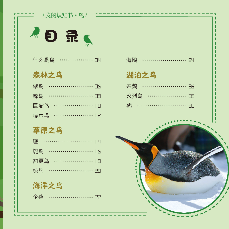 醉染图书我的认知书·鸟9787531579298高清大图