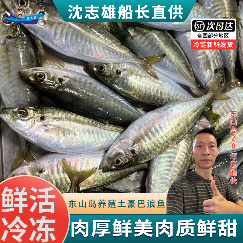 沈志雄冷冻海水鱼深海捕捞新鲜锁鲜高蛋白低脂健康营养即食海鲜美味