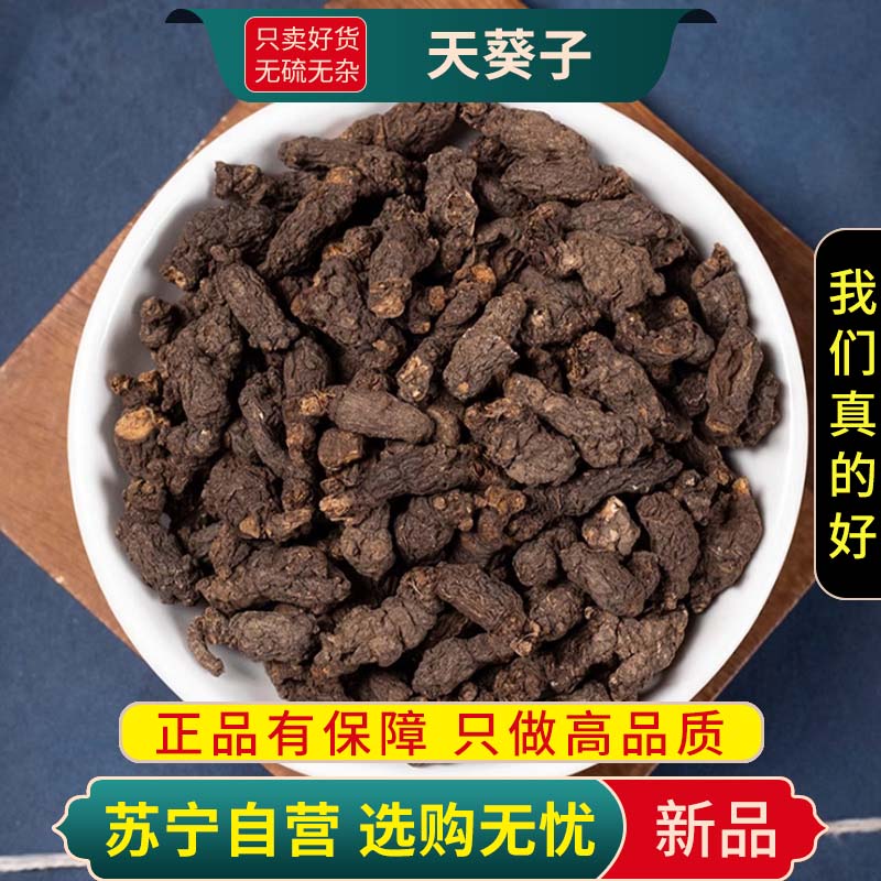 甄选天葵子100克正品干货新货天葵草天葵子千年老鼠屎紫背天葵子