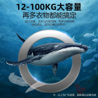 意黛斯(YIDAISI)大型商用洗衣机全自动洗脱机12公斤商用工业水洗机变频洗涤设备YDS-XT12 220/380V
