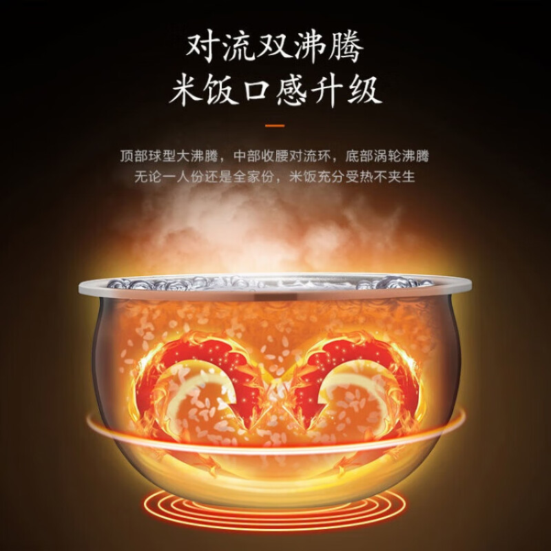 九阳-电饭煲F20T-F520高清大图