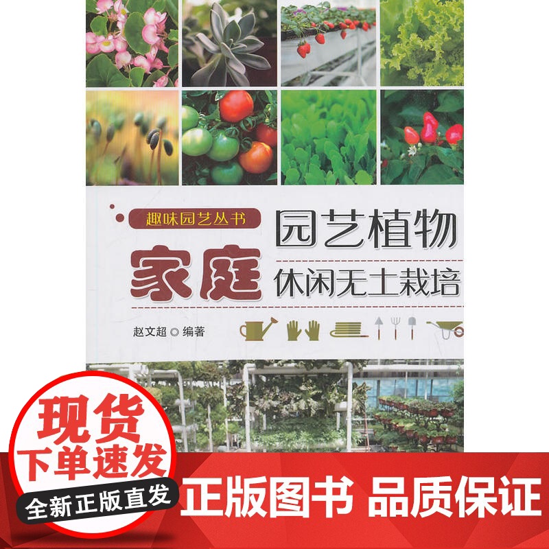 家庭园艺植物休闲无土栽培高清大图