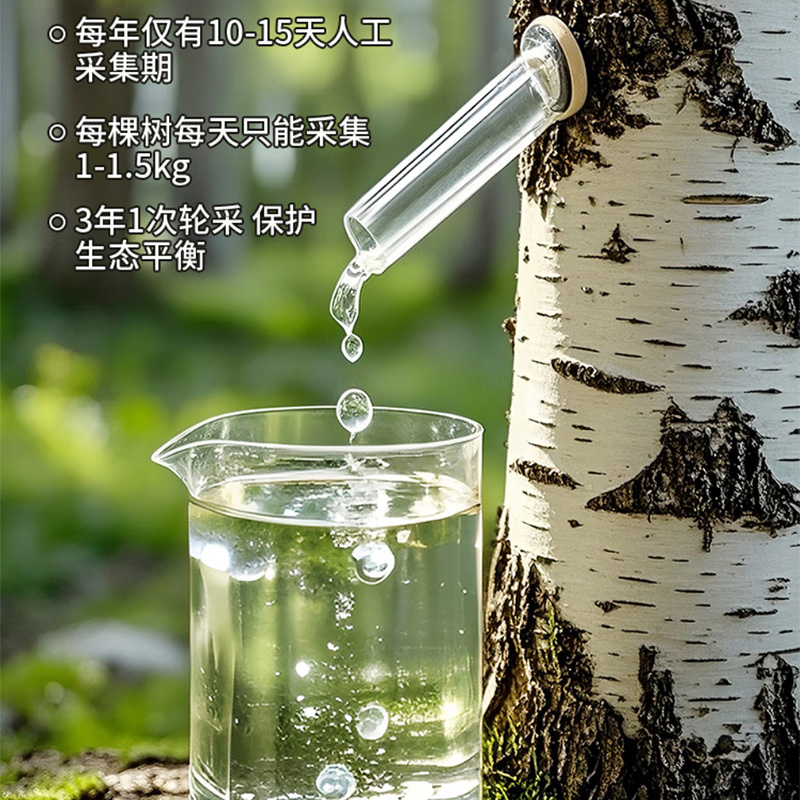 福兰农庄 白桦树汁 450ml*6瓶 盒高清大图