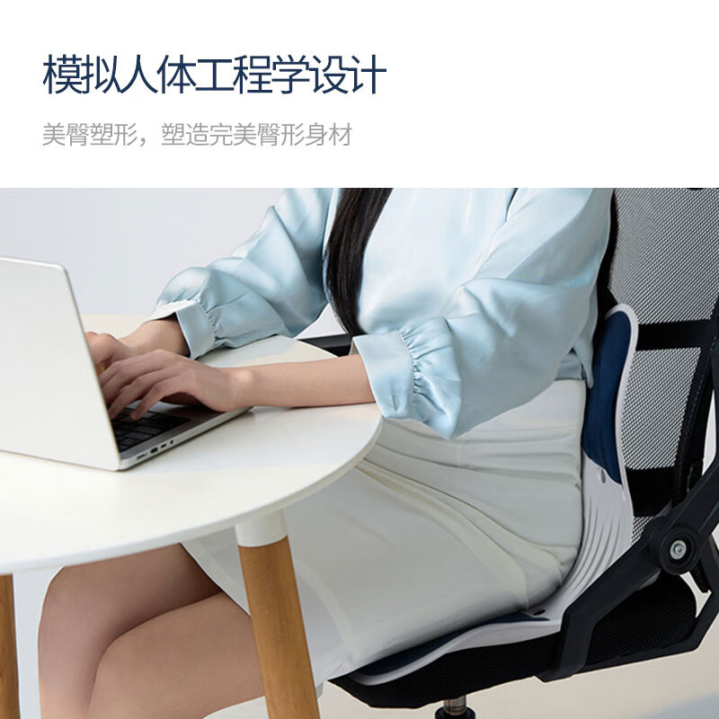 西莱森 护腰坐垫CP-WP1高清大图
