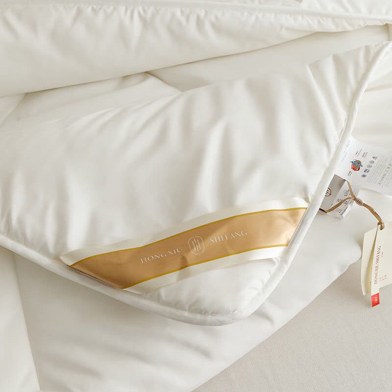 红秀世纺 HXGDB018 冬被200*230cm 全棉 被子 1.00 件/条 (计价单位:条) 白色图片