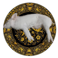 整只乳猪 新鲜土猪 新鲜乳猪 脆皮烤乳猪 烧腊乳猪 一只约4.5-5KG