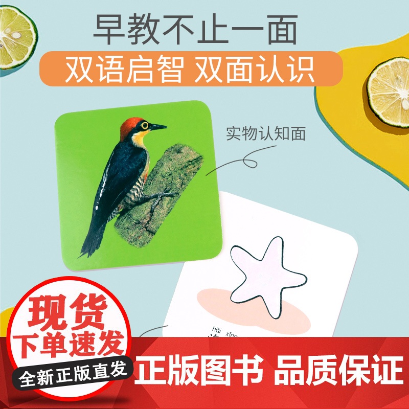 动物世界 阳光宝贝撕不烂涂鸦认知卡水画本认物卡儿童画画教材涂色本0-2-3-4岁宝宝早教卡片启蒙书籍婴幼儿图案早教卡片幼高清大图