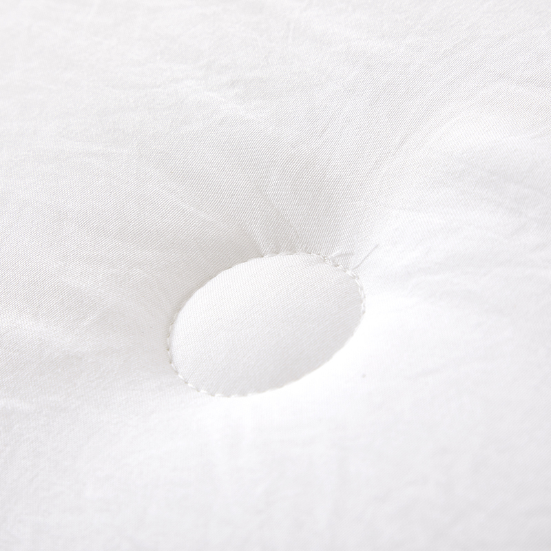 博洋家纺(Beyond Home Textile) 蚕丝被 瑞贝佧 200*230cm