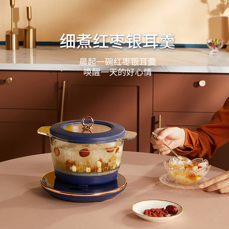 荣事达 第9代 养生壶煮茶壶保温热水壶电炖锅隔水多功能煲汤锅燕窝炖盅迷你小炖锅宝宝煮粥锅 YSG15A-H 养生壶(锅)