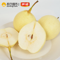 冀峰 甜鸭梨 9-11个 净重约2.3kg