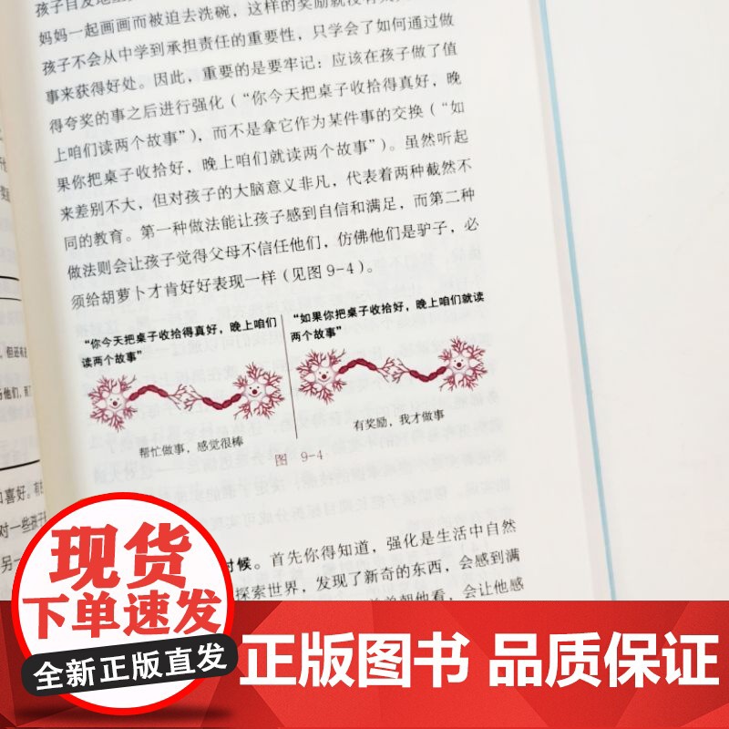 请这样对待孩子的大脑 (西)阿尔瓦罗 毕尔巴鄂 脑科学家给家长的温暖守护指南大脑发育不能随意加速培养孩子应该像种树一样高清大图