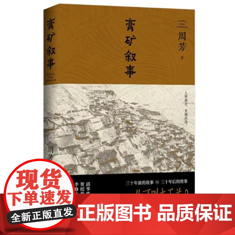 膏矿叙事 9787532188529 上海文艺出版社 周芳 著 2024-08高清大图