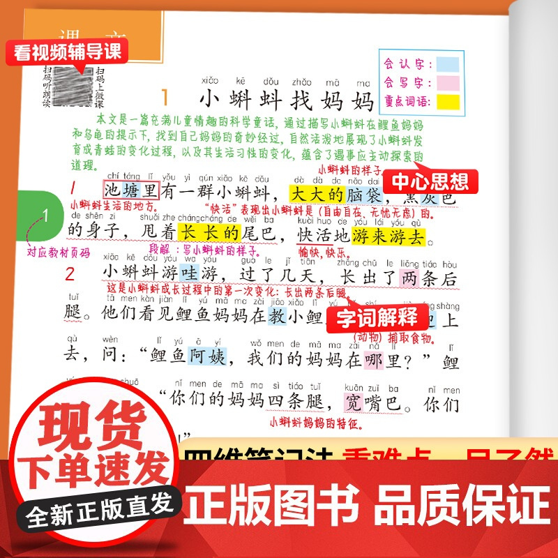 2025新版二年级上册课堂笔记语文人教部编版下册小学2上课本讲解预习辅导资料书黄冈学霸笔记语数英同步教材全解状元数学随堂