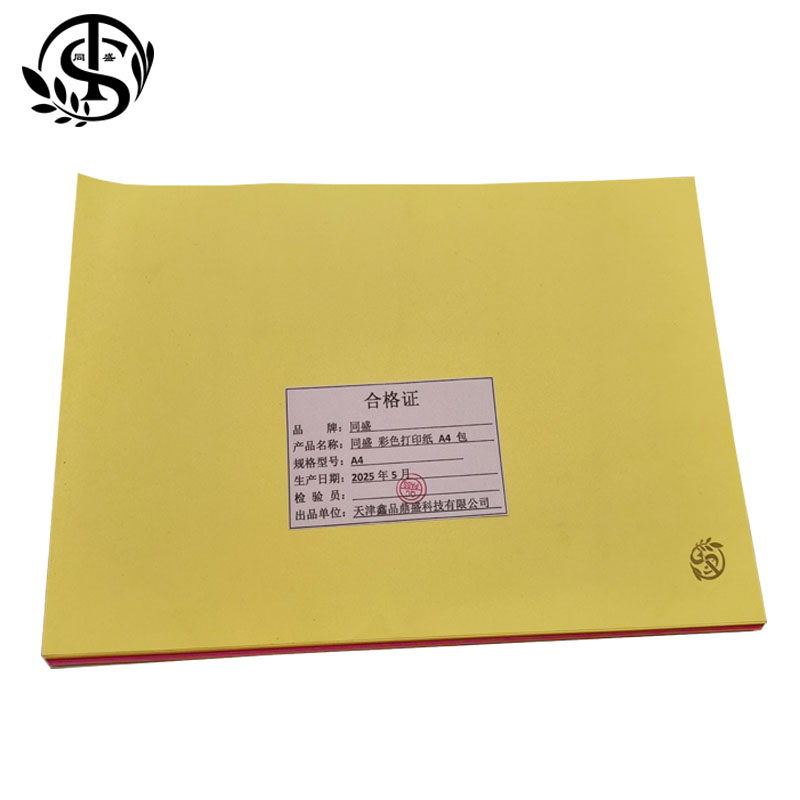 同盛 彩色打印纸 A4 包高清大图