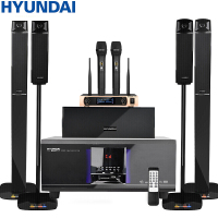 现代HYUNDAI 家庭影院音响组合 KTV套装模拟5.1音响设备客厅电视卡拉OK音响 H5家庭影院+N-02S麦克风