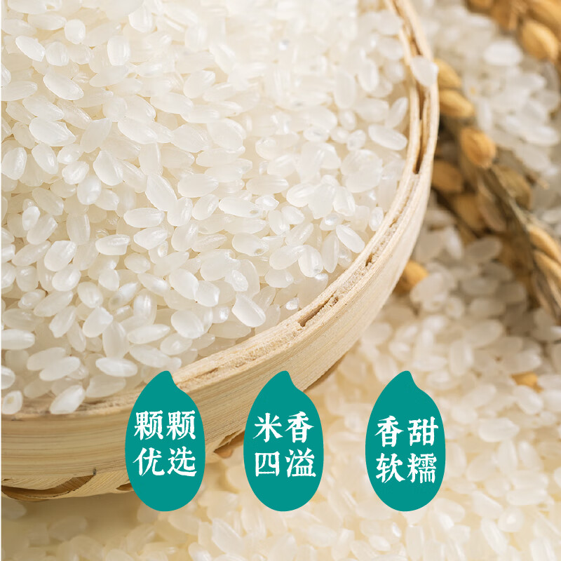 隆平农场 耐盐碱大米助农款5kg 珍珠米东北大米 寿司米 粥米10斤 耐盐碱大米5kg高清大图