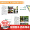 超实用小庭院景观设计 庭院设计技巧展示经典案例 露台公园花园花卉设计赏析详解家居园艺园林造园师园林设计师用庭院景观设计书