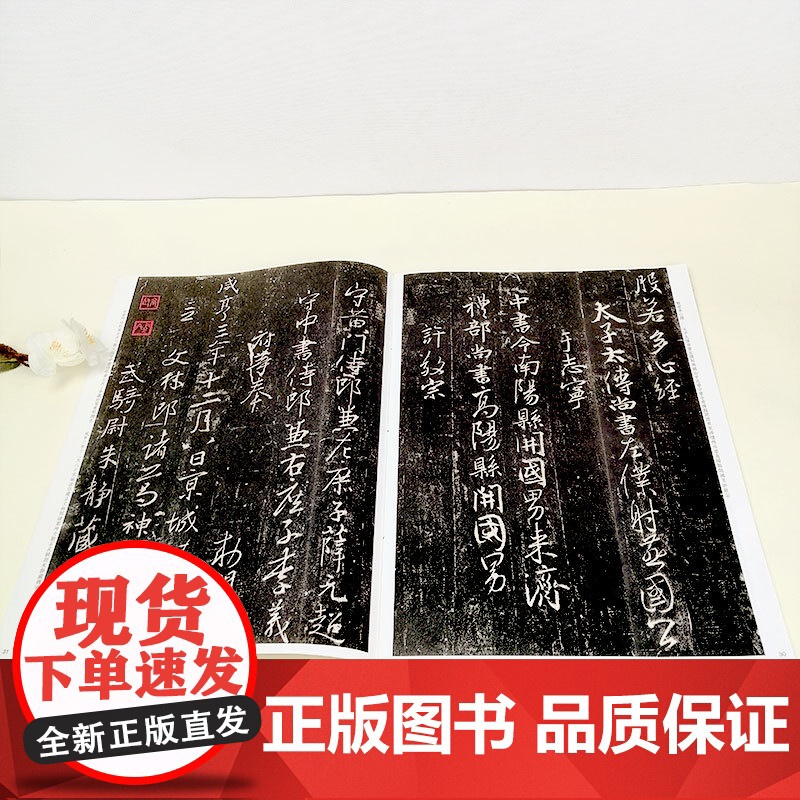 彩色放大本中国著名碑帖 集字圣教序(刘铁云本)孙宝文 书法碑帖 书法爱好者字帖 书画教材 正版图书籍 上海辞书出版社 世高清大图