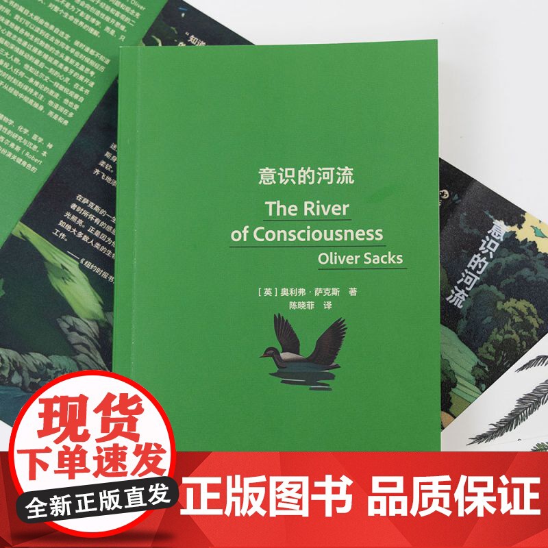 意识的河流高清大图