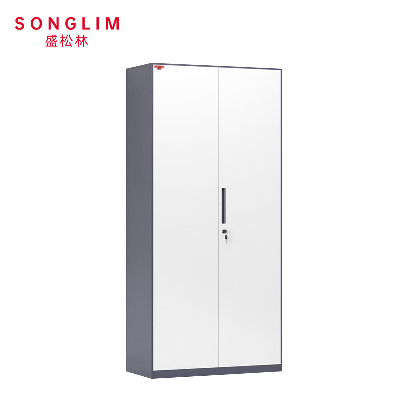 SONGLIM 盛松林 文件柜 1850*900*400mm 个