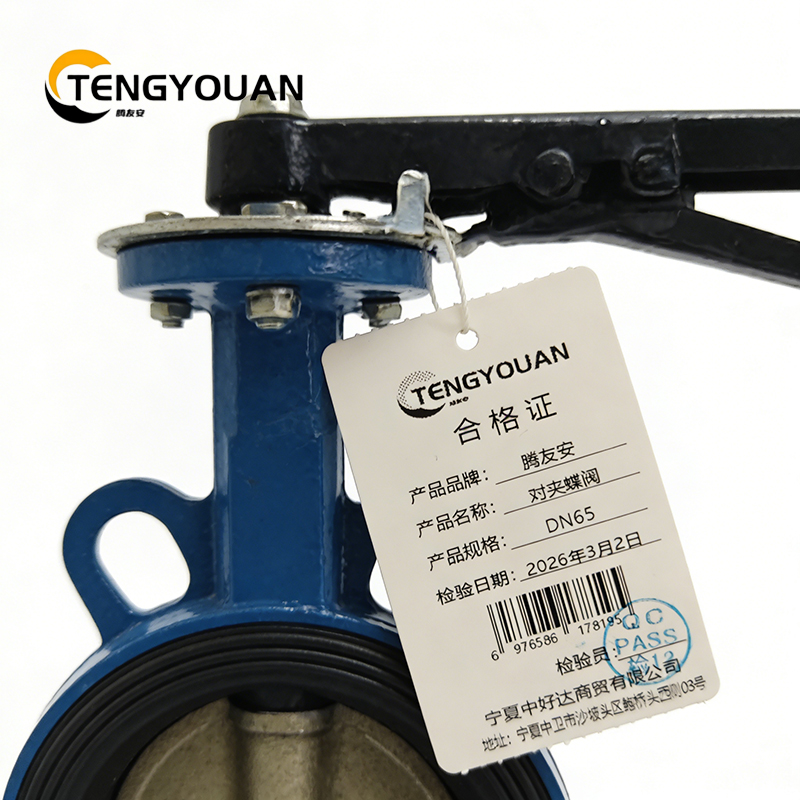 腾友安对夹蝶阀DN65/个高清大图