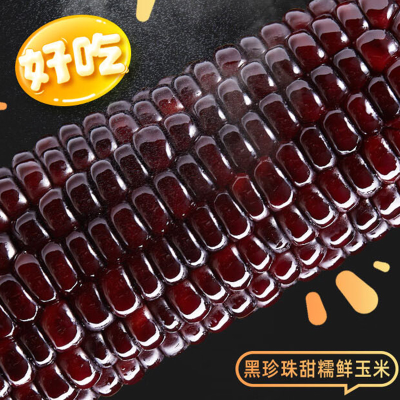 北纬47°玉米糯香粗粮地道原味新鲜食用食材黑珍珠甜糯鲜玉米200g*10个(包装随机)高清大图