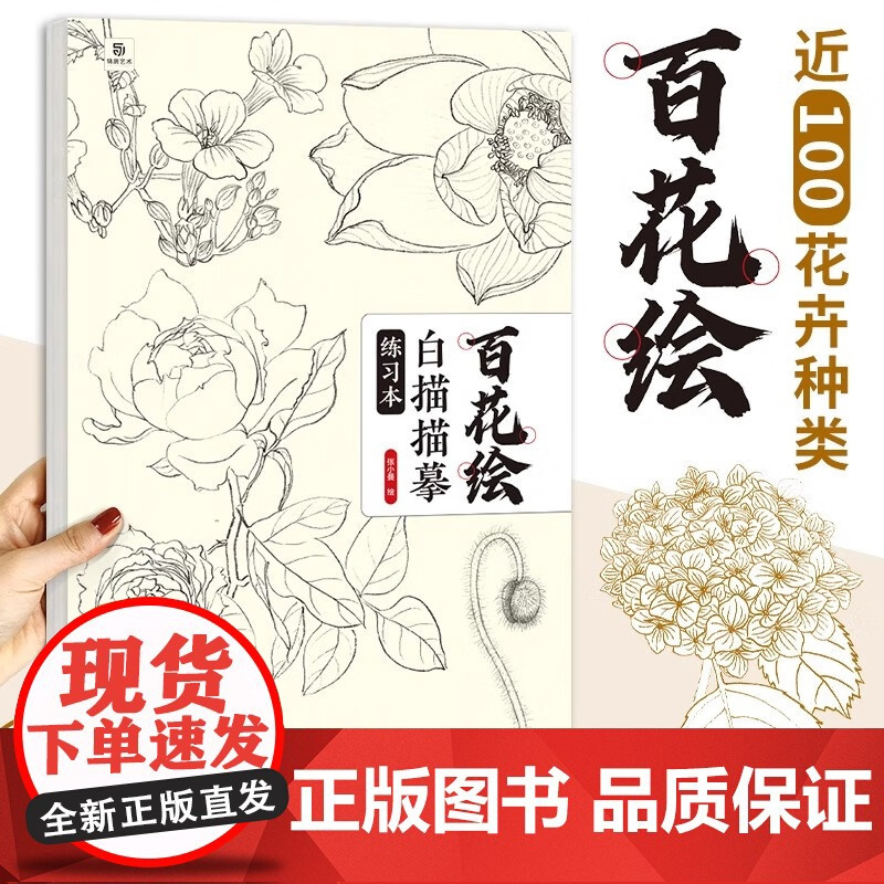 百花绘白描描摹本 工笔画花卉白描线稿临摹 百花图谱 勾线控笔描摹 中国画初学者入门教程 工笔画白描练习册