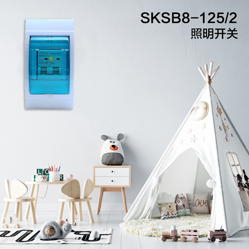 赛时工控(SHSSGK) SKSB8LE-80/2 照明开关(单位:台)配色