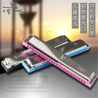 天鹅(Tian E)复音口琴24孔C调初学者自学零基础口风琴专业成人儿童乐器