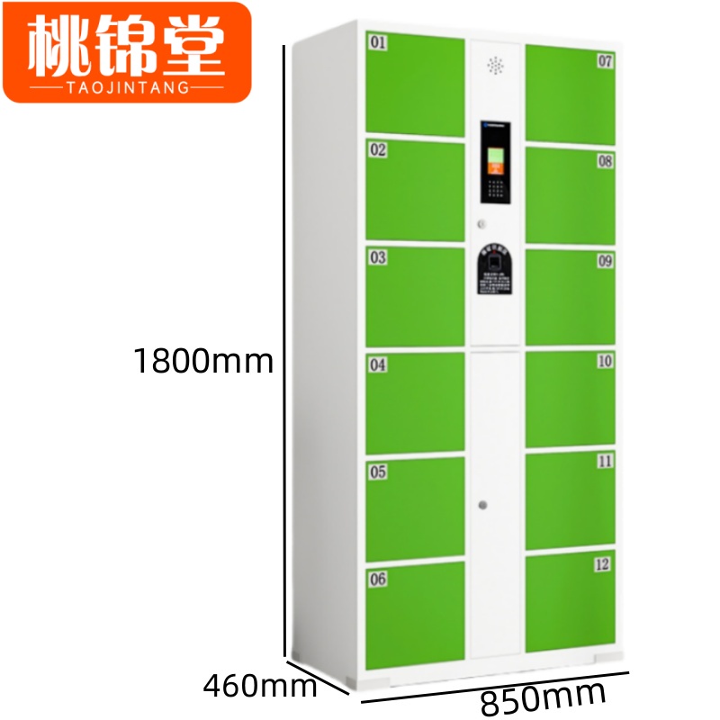 桃锦堂电子存包柜 智能储物柜12门台