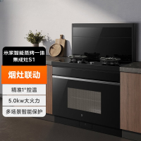 小米(mi)米家智能家用蒸烤箱一体集成灶S1 JJZT-MJC01M