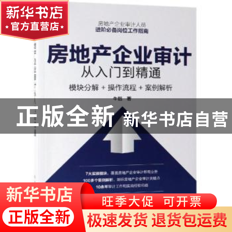正版 房地产企业审计从入门到精通:模块分解+操作流程+案例解析高清大图