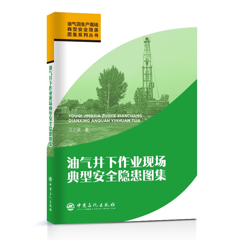 [正版]油气井下作业现场典型安全隐患图集 中国石化出版社高清大图