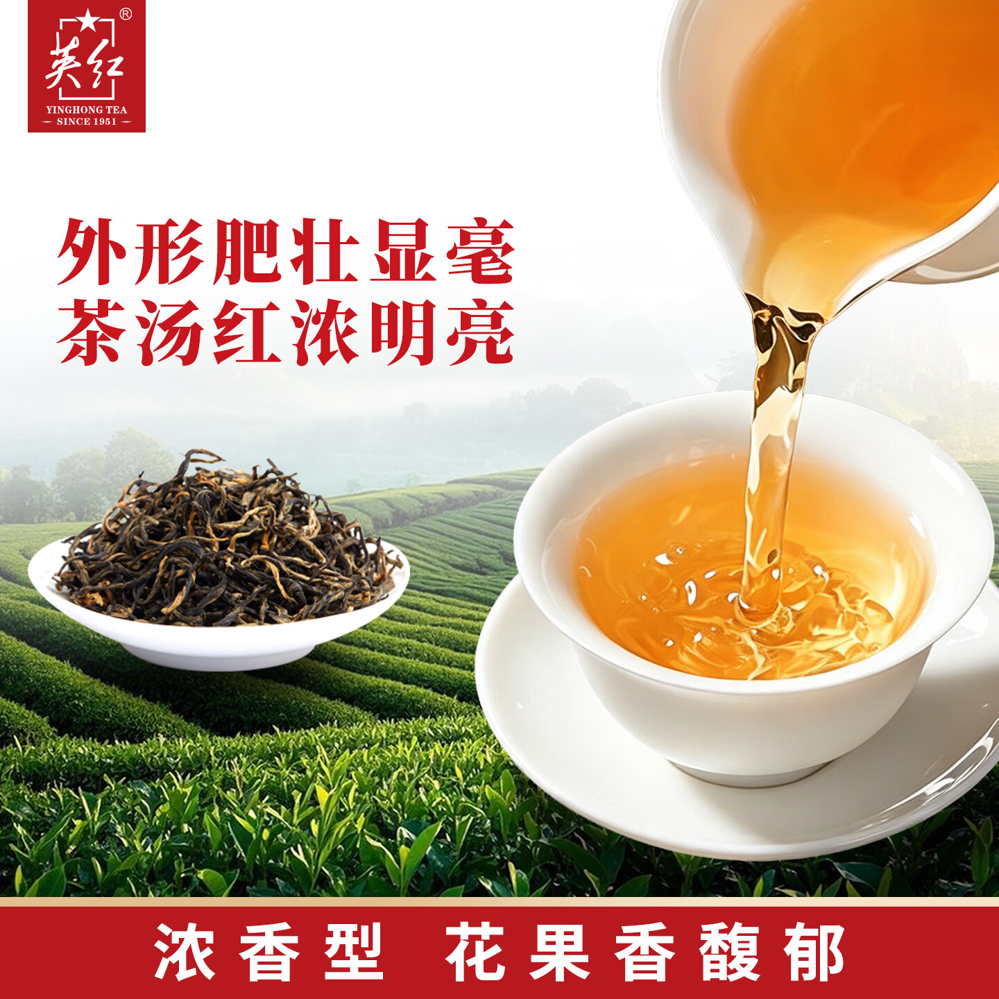 英红牌[2026年新茶]红茶英红九号明前春茶特级有机茶中秋茶叶礼盒高清大图