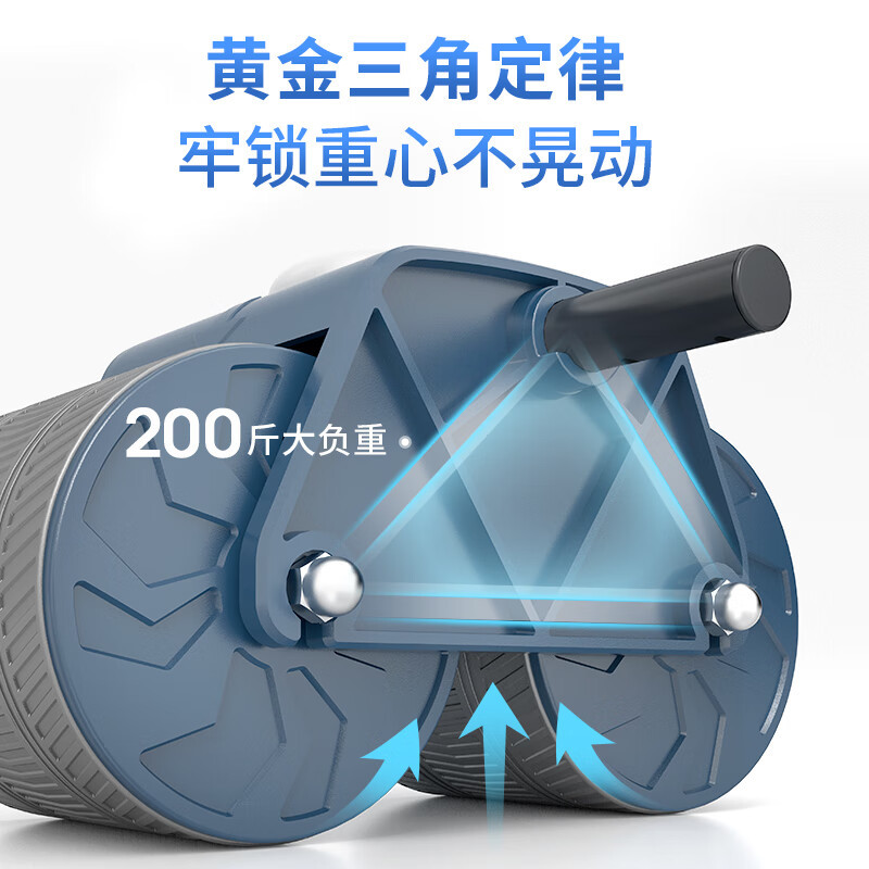 舒华(SHUA)室内健身器材肘撑健腹轮SH-S715(云雾紫)高清大图